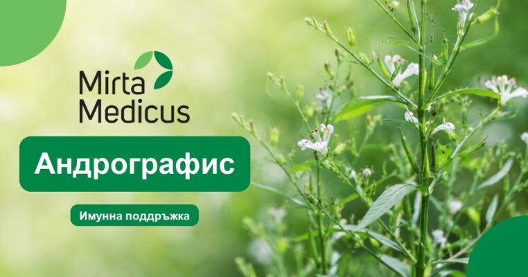 Андрографис - Mirta Medicus