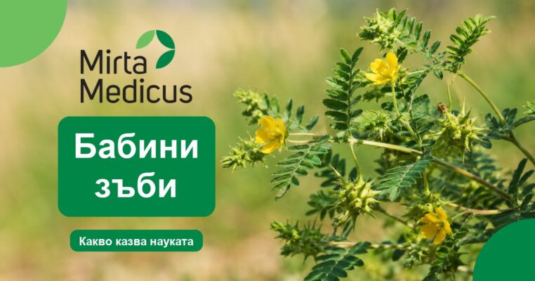 Бабини зъби - Mirta Medicus