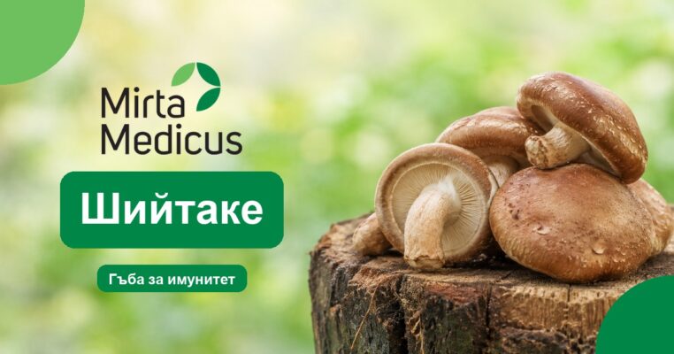 Шийтаке - Mirta Medicus