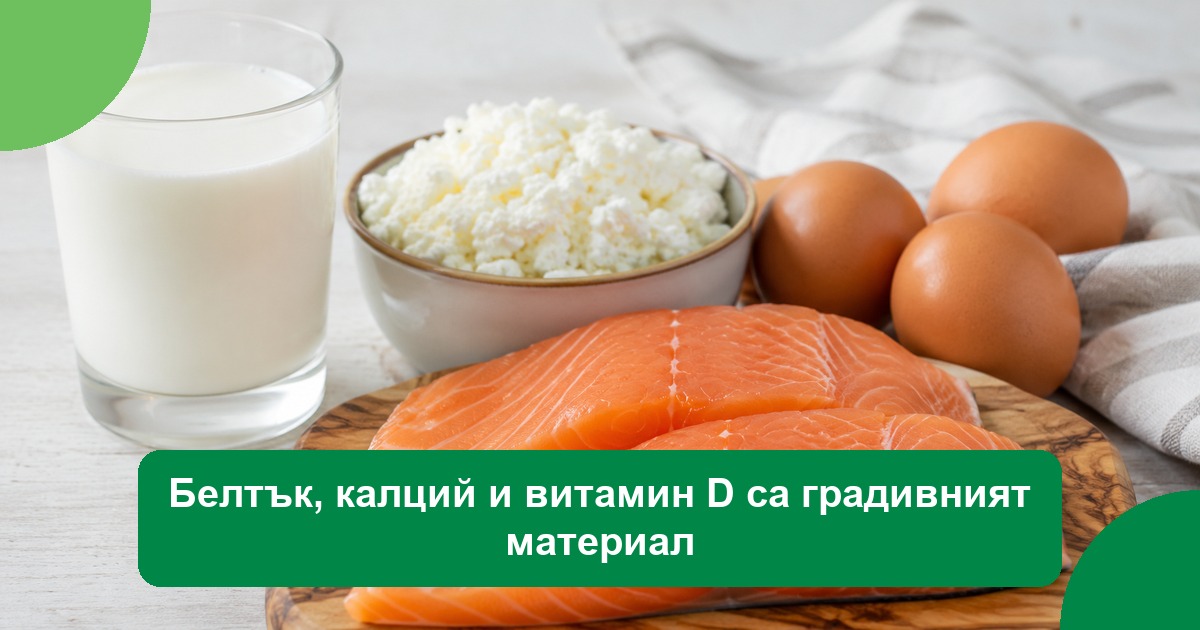 Белтък, калций и витамин D са градивният материал
